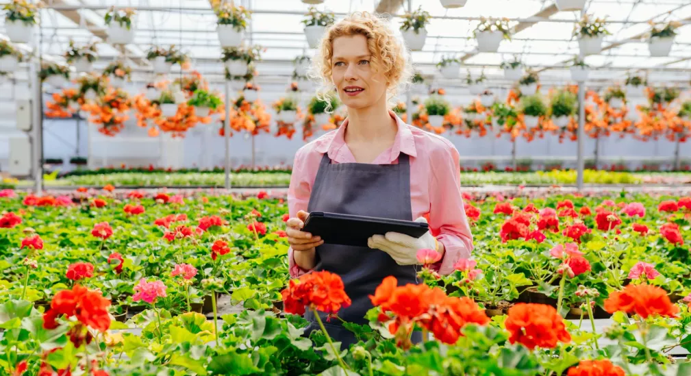 Volledige ontzorging van ondernemers